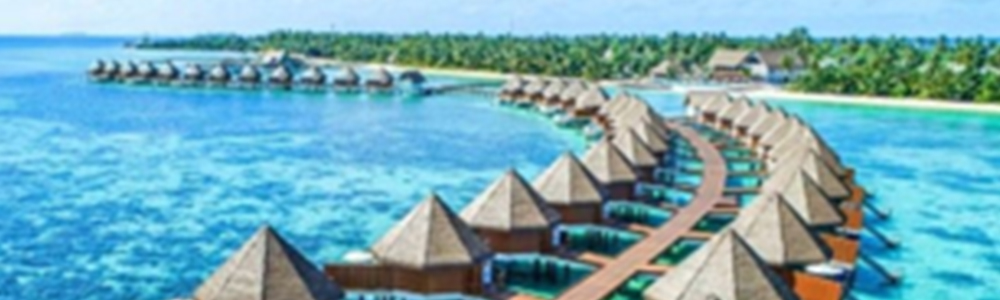 img-honoured-at-maldives-sg-business-forum-2
